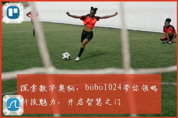 探索数字奥秘，bobo1024带你领略科技魅力，开启智慧之门