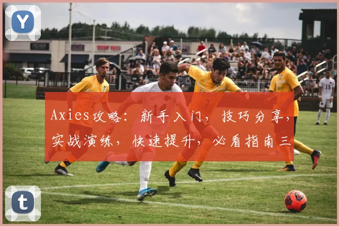 Axies攻略：新手入门，技巧分享，实战演练，快速提升，必看指南三步走